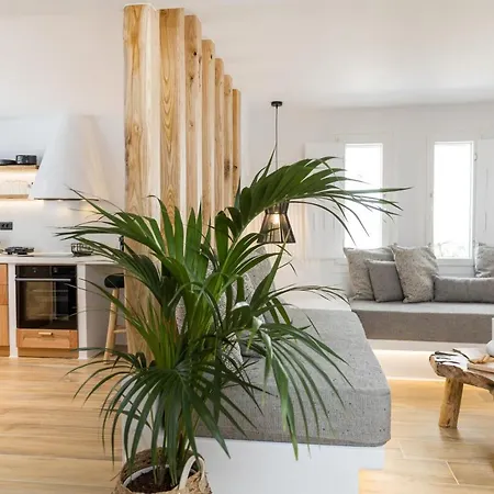 Naxian Icon Luxury 3